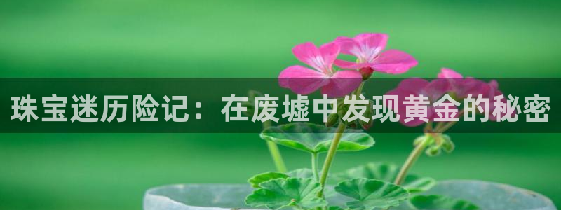 新宝5登录界面