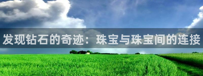 新宝5官网app