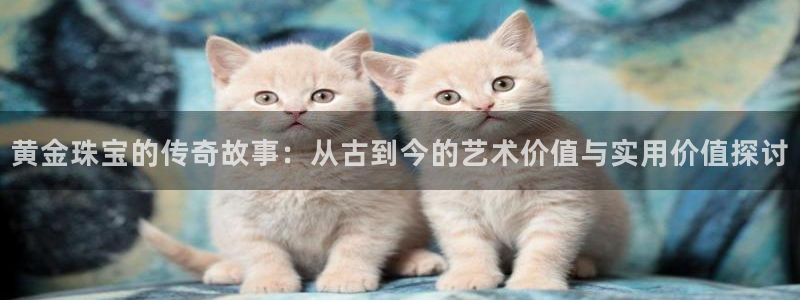 新宝j2O5O5O