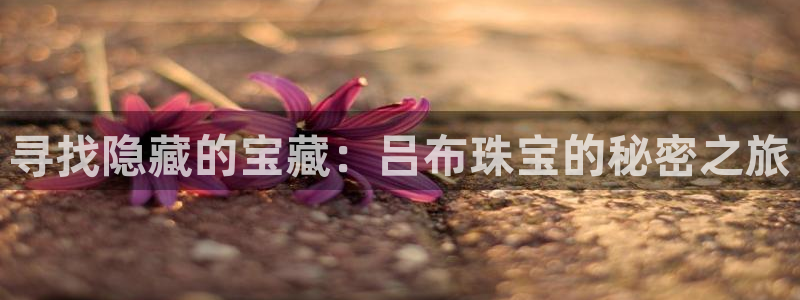 新宝5注册平台：寻找隐藏的宝藏：吕布珠宝的秘密之旅