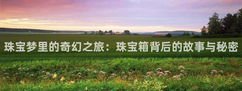 有人知道新宝5么：珠宝梦里的奇幻之旅：珠宝箱背后的故事与秘密