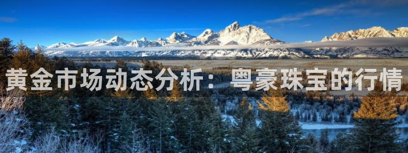 新5宝：黄金市场动态分析：粤豪珠宝的行情