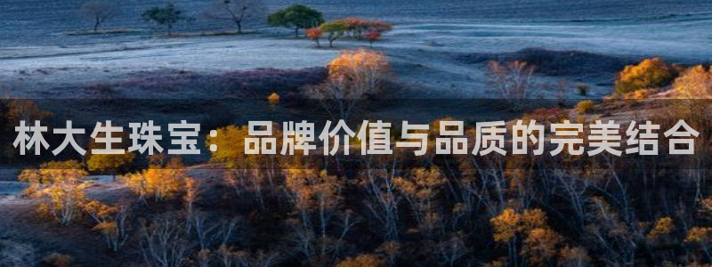 新宝5招商222111：林大生珠宝：品牌价值与品质的完美结合