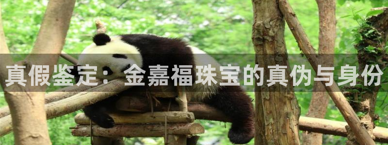 新宝5骗术：真假鉴定：金嘉福珠宝的真伪与身份