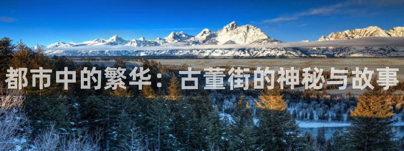 新宝5网站：都市中的繁华：古董街的神秘与故事