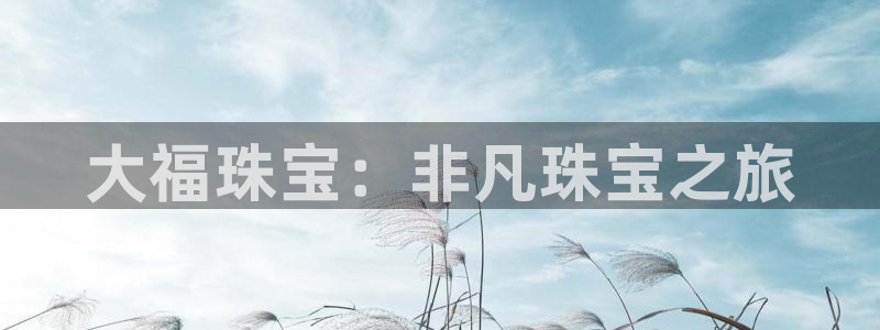 新宝5内部：大福珠宝：非凡珠宝之旅