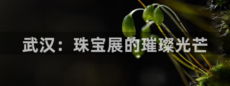 新宝5秒开：武汉：珠宝展的璀璨光芒