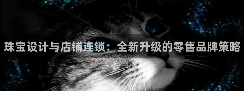 5新宝：珠宝设计与店铺连锁：全新升级的零售品牌策略