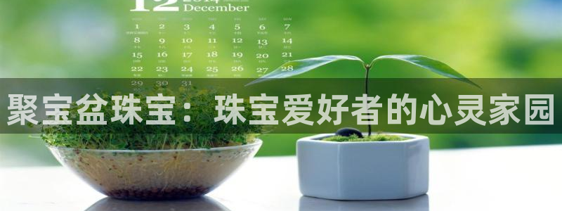 新宝5月：聚宝盆珠宝：珠宝爱好者的心灵家园