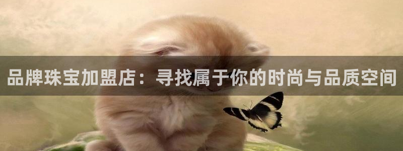 新宝5登陆地址：品牌珠宝加盟店：寻找属于你的时尚与品质空间