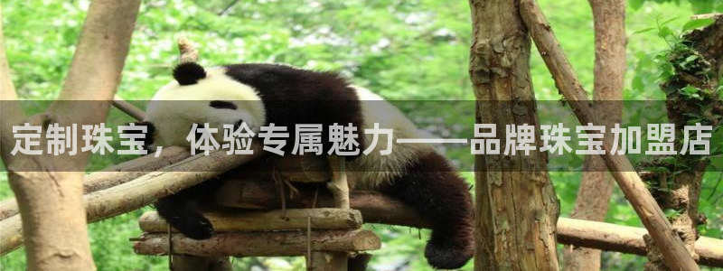 新宝5官网app：定制珠宝，体验专属魅力——品牌珠宝加盟店