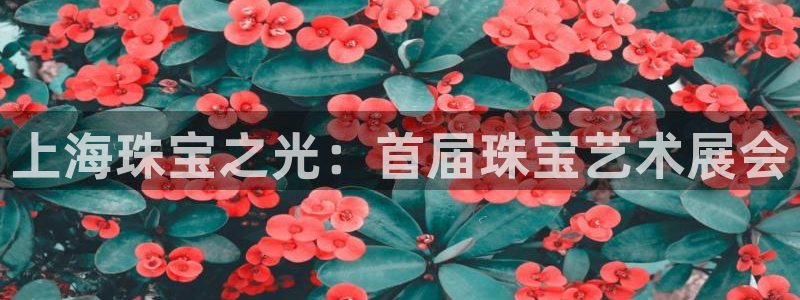 新宝5骗术：上海珠宝之光：首届珠宝艺术展会