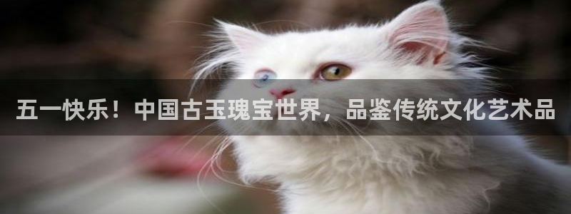 新宝5内部：五一快乐！中国古玉瑰宝世界，品鉴传统文化艺术品