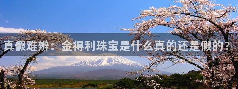 新宝5是什么：真假难辨：金得利珠宝是什么真的还是假的？