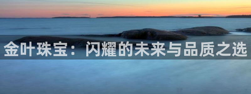 新宝5湫333 00：金叶珠宝：闪耀的未来与品质之选