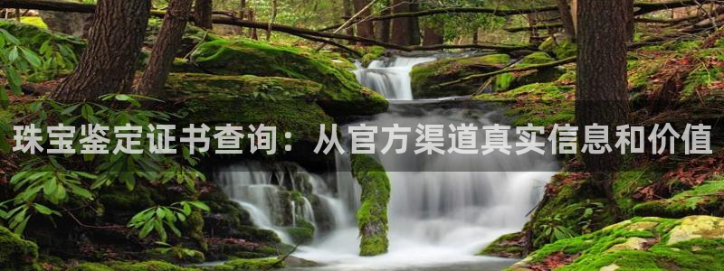 新宝娱乐5：珠宝鉴定证书查询：从官方渠道真实信息和价值