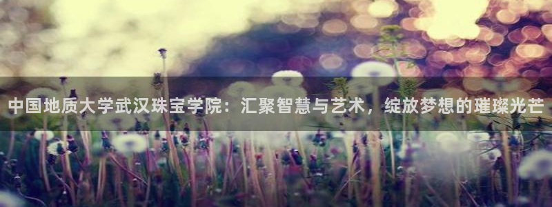 新宝5褚32OO59：中国地质大学武汉珠宝学院：汇聚智慧与艺术，绽放梦想的璀璨光