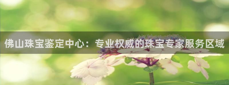 新宝5线路：佛山珠宝鉴定中心：专业权威的珠宝专家服务区域