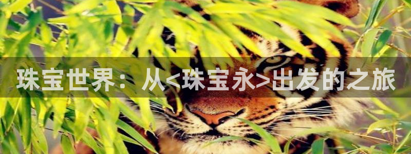 新宝5-测速：珠宝世界：从<珠宝永>出发的之旅