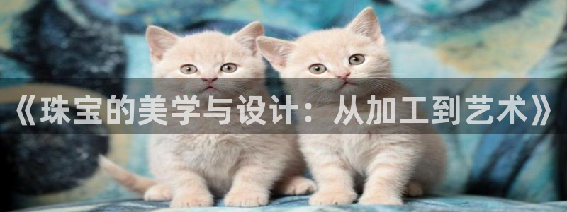 新宝注5册：《珠宝的美学与设计：从加工到艺术》