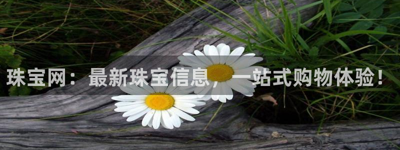 新宝5球维33 300：珠宝网：最新珠宝信息，一站式购物体验！