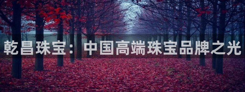 新宝5登录不了：乾昌珠宝：中国高端珠宝品牌之光