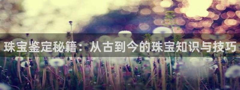 新宝5线路：珠宝鉴定秘籍：从古到今的珠宝知识与技巧
