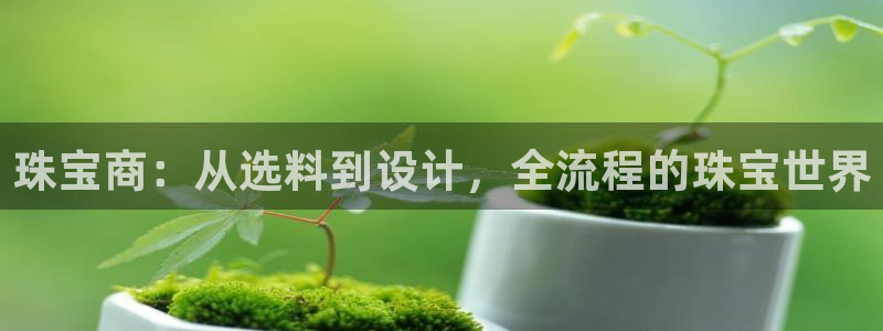 新宝5平台登录注册：珠宝商：从选料到设计，全流程的珠宝世界
