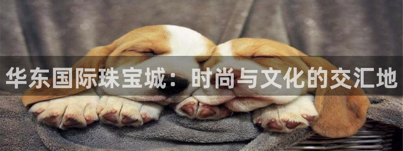 新宝骏rc5W：华东国际珠宝城：时尚与文化的交汇地