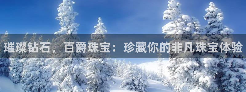 新宝5主管：璀璨钻石，百爵珠宝：珍藏你的非凡珠宝体验