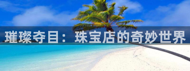 新宝5口67五壹叁八：璀璨夺目：珠宝店的奇妙世界