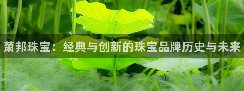 新宝5登录霸：萧邦珠宝：经典与创新的珠宝品牌历史与未来