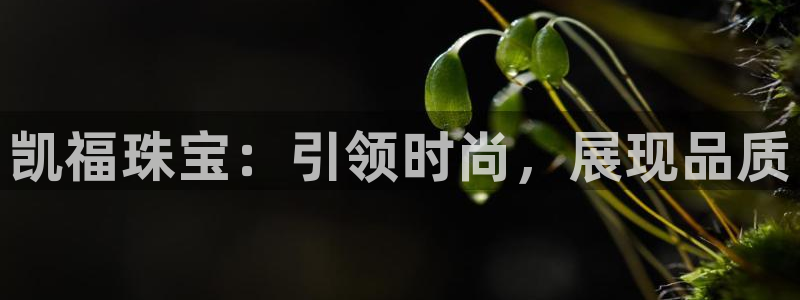 新宝5平台登录下载软件：凯福珠宝：引领时尚，展现品质