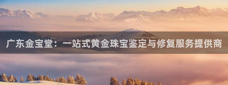 新5宝：广东金宝堂：一站式黄金珠宝鉴定与修复服务提供商