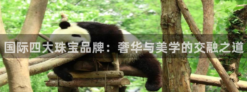 新宝骏rc5W：国际四大珠宝品牌：奢华与美学的交融之道