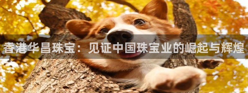 新宝5飞355051：香港华昌珠宝：见证中国珠宝业的崛起与辉煌