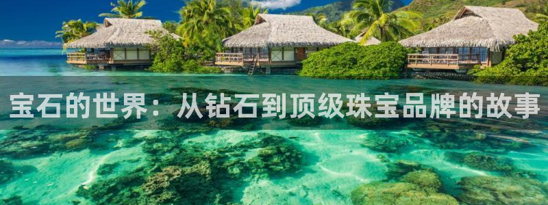 新宝5授权：宝石的世界：从钻石到顶级珠宝品牌的故事