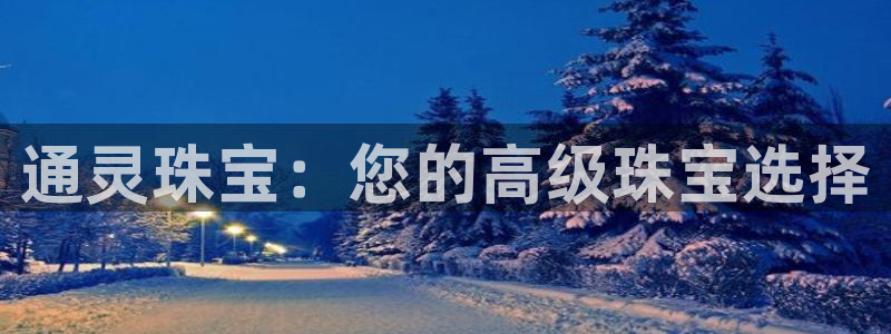 新宝5娱乐同：通灵珠宝：您的高级珠宝选择