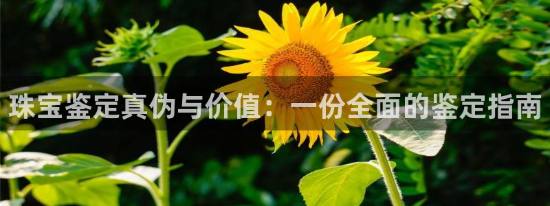 新宝5新宝6顺达：珠宝鉴定真伪与价值：一份全面的鉴定指南