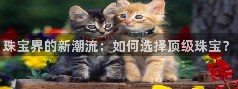 新宝5怎么代理：珠宝界的新潮流：如何选择顶级珠宝？