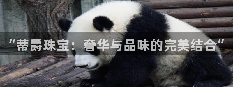 新宝5郑74OOO5：“蒂爵珠宝：奢华与品味的完美结合”