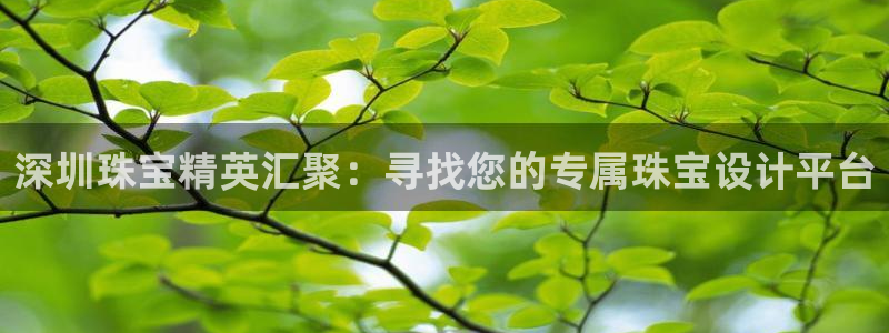 新宝5系列：深圳珠宝精英汇聚：寻找您的专属珠宝设计平台