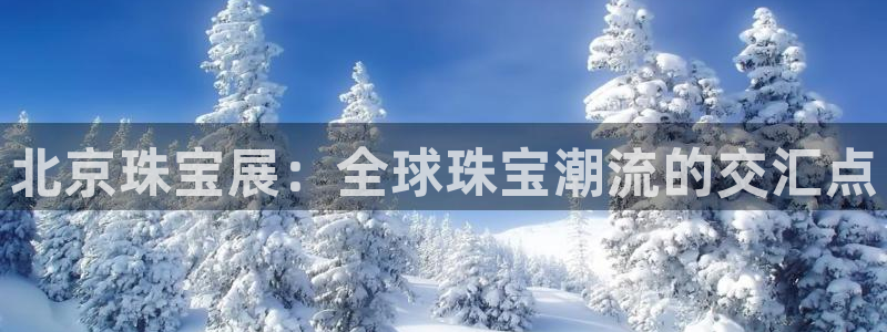 新宝骏rc5W：北京珠宝展：全球珠宝潮流的交汇点