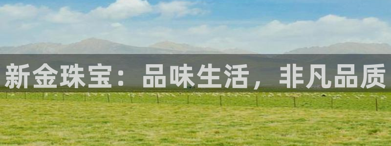 新宝5骗术：新金珠宝：品味生活，非凡品质