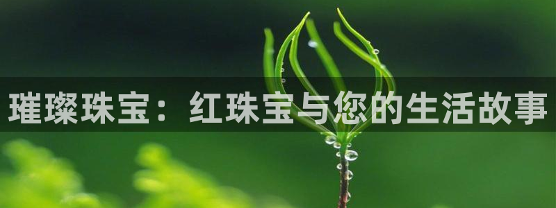 新宝5线路：璀璨珠宝：红珠宝与您的生活故事