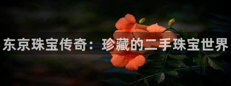 新宝5手机登录：东京珠宝传奇：珍藏的二手珠宝世界