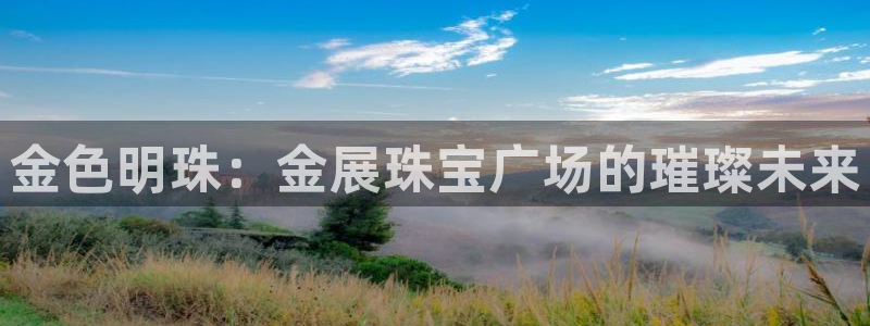 新宝5五：金色明珠：金展珠宝广场的璀璨未来