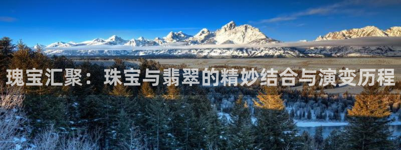 新宝5寂创33300散：瑰宝汇聚：珠宝与翡翠的精妙结合与演变历程