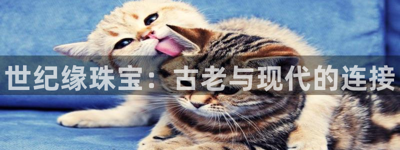 新宝5注册流程：世纪缘珠宝：古老与现代的连接