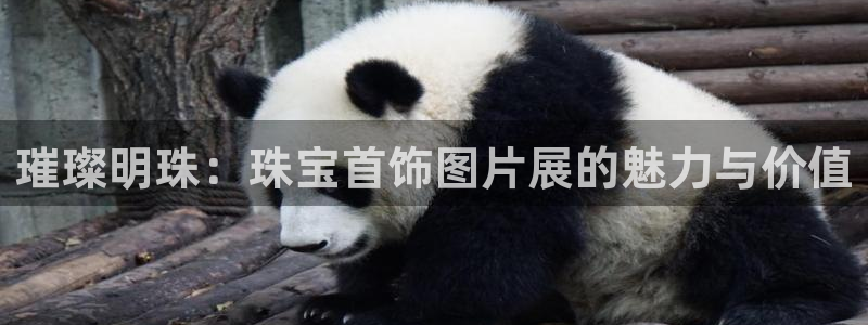 新宝速5：璀璨明珠：珠宝首饰图片展的魅力与价值